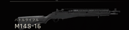 Primary_M14S-16.png