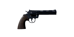 Secondary_Python.png