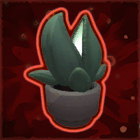 InterstellarDeskPlant.jpg InterstellarDeskPlant.jpg
