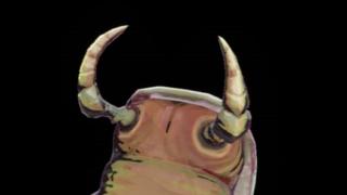 Stone Flux Pauldron