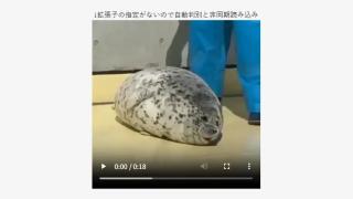 自作プラグイン/imgur