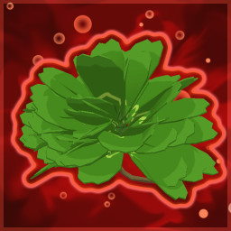 Complete20Stages